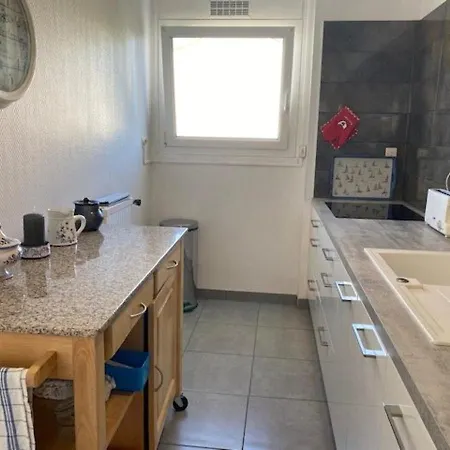 Maison De Avec Terrasse, Jardin, Garage, Animaux Acceptes A - Fr-1-494-116 ロワイヤン