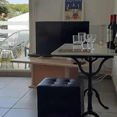 Maison De Avec Terrasse, Jardin, Garage, Animaux Acceptes A - Fr-1-494-116 鲁瓦扬