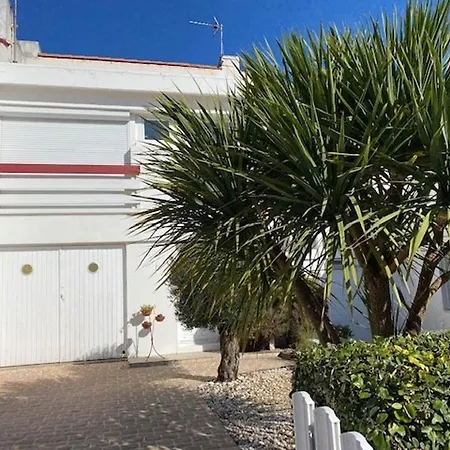 Maison De Avec Terrasse, Jardin, Garage, Animaux Acceptes A - Fr-1-494-116 Holiday home Royan