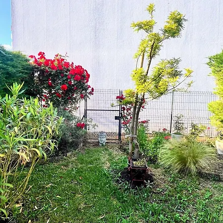 Maison De Avec Terrasse, Jardin, Garage, Animaux Acceptes A - Fr-1-494-116 別荘 *